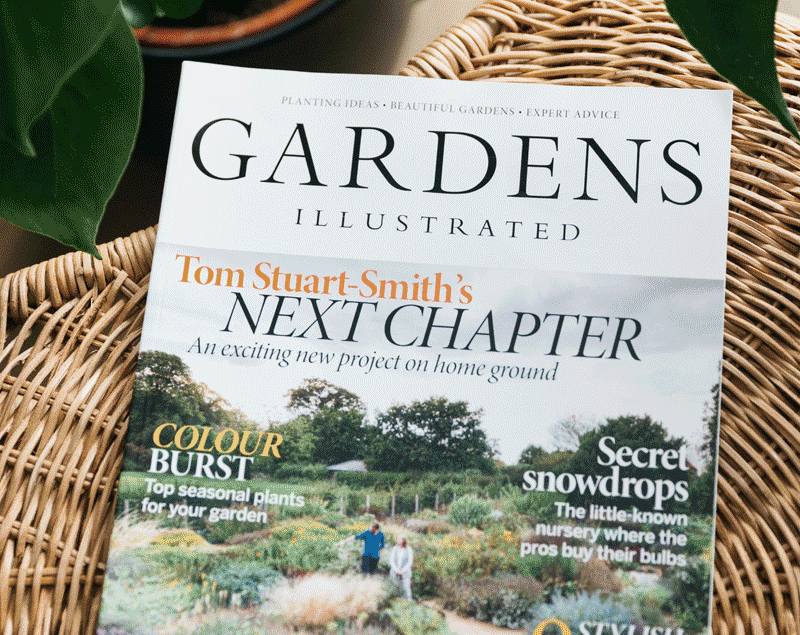 Gardens Illustrated. E-smaspäev: üle 500 ajakirja 20% soodsamalt. Sirvi - ajakirjade tellimine
