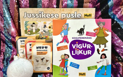 24 kinki sussi sisse või jõuluvana kingikotti